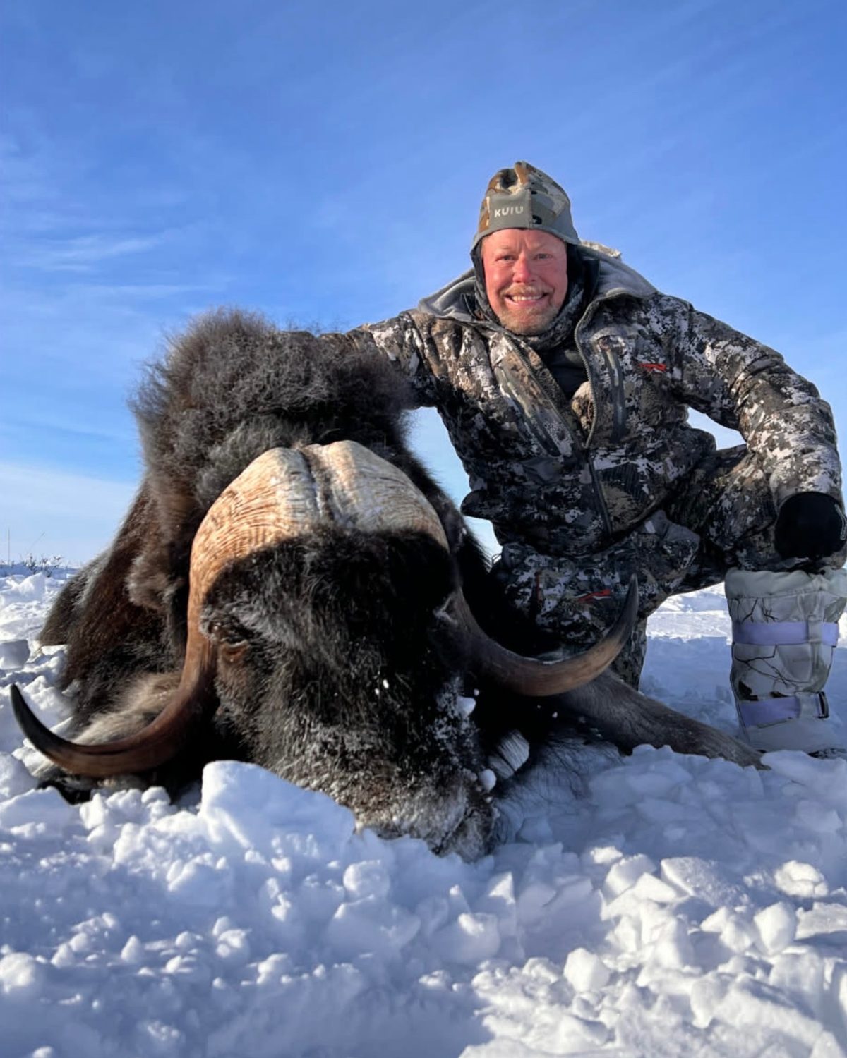 A smiling hunter in winter camouflage kneeling beside his muskox bull on fresh snow under a blue sky.